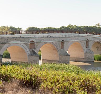 Conheça as vantagens dos produtos à base de cal
