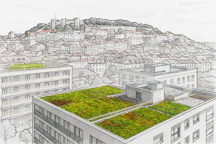 🌱 Coberturas Ajardinadas: Mais Valor, Sustentabilidade e Conforto com a SOPREMA