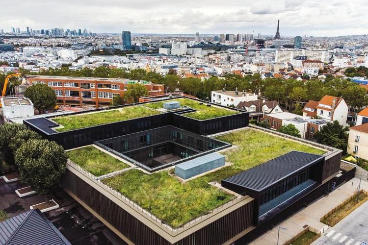 Projeto Pampa Flore: A implementação de soluções inovadoras para a sustentabilidade