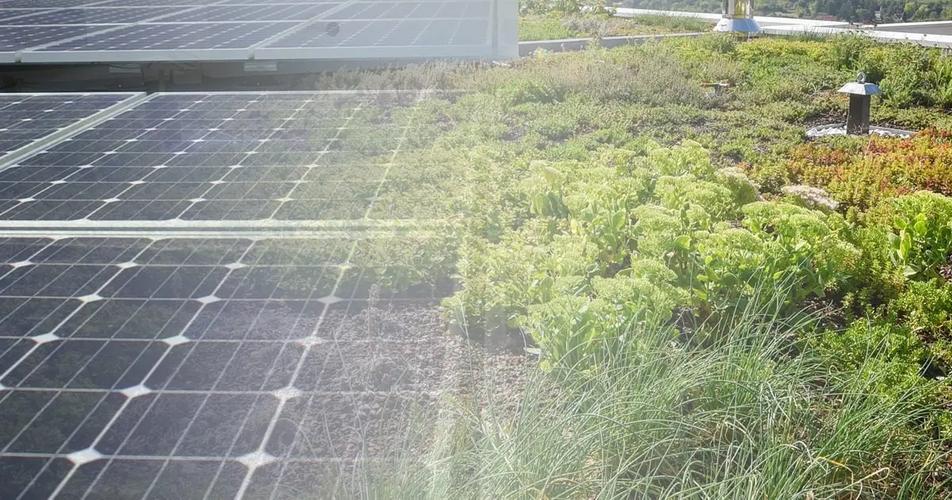 A Importância de Integrar Coberturas Funcionais no Projeto de Edifícios